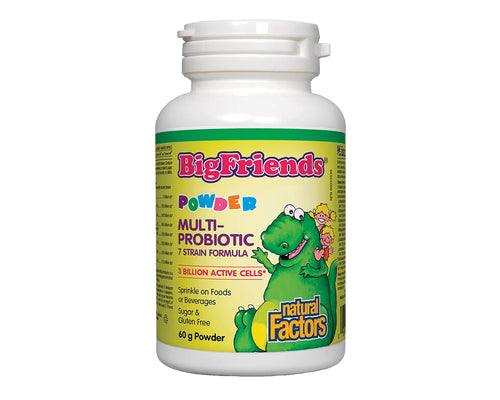 Natural Factors Big Friends Multiprobiotic Powder 60g