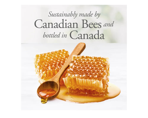 Dutchman's Gold Raw Honey 500g