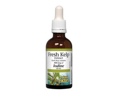 Natural Factors Fresh Kelp Extract 50mL