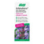 A.Vogel Echinaforce Sore Throat Spray 30mL