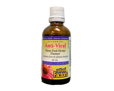 Natural Factors Echinamide Anti-Viral Tincture 50mL